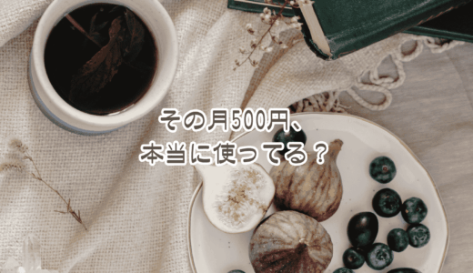 「何にお金使ってるんだろ？」30代になって一度ちゃんと確認してみたくなった